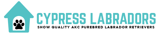 Cypress Labradors